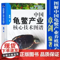 []中国龟鳖产业核心技术图谱 佛鳄龟早繁技术书 67种龟鳖疑难性和应激性疾病防治技术图解 海洋出版社 978750278