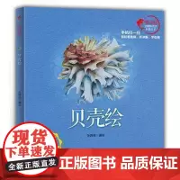 正版书籍 贝壳绘 艺术 绘画 各种画 科普图书