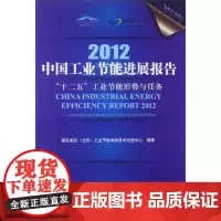 正版书籍 2012中国工业节能进展报告:“十二五”工业节能形势与任务