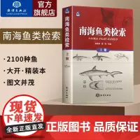 海洋南海鱼类检索上册 鱼类超过2100种较为全面地反映了南海鱼类组成渔业资源普查重点渔场调查等海洋科普读物鱼类书籍