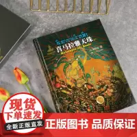 喜马拉雅天珠 朱晓丽著天珠玛瑙收藏与鉴赏 中国古代珠子古玩文玩手串藏族珠饰古珠天珠族群文化背景工艺特征考古研究正版书籍