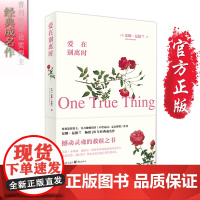旧书 《爱在别离时》 (《不曾走过,怎会懂得》安娜.昆德兰著)震撼心灵的救赎之书 毕淑敏、梅丽尔斯特里普 心灵励志