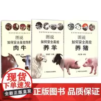 正版 图说如何安全高效养肉牛 养羊 养猪 三本套装 养牛图书 养羊书籍 常见家畜饲养 养殖户的好帮手