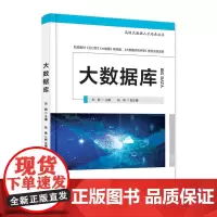 大数据库—高级大数据人才培养丛书 刘鹏 电子工业出版社 正版书籍