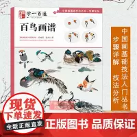 中国画基础技法丛书:百鸟画谱(学一百通) 写意花鸟国画入门基础教程自学起步到精通写意画花鸟册页 初学者画花鸟技巧解析正版