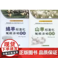 山羊标准化规模养殖图册+绵羊标准化规模养殖图册 套装两本 养羊书籍 科学生态饲养 养羊技术书籍 规模养羊书籍