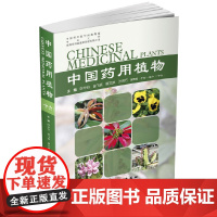 中国药用植物.十六 叶华谷 化学工业出版社 正版书籍