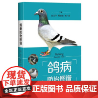 鸽病防治图谱 赵宝华等主编 鸽病综合防治诊疗技术鸽病毒性传染病50种鸽常见病的诊断与防治技术鸽病鉴别诊断9787547