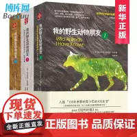 正版 我的野生动物朋友123全套三本欧美中小学生四五六年级启蒙读本西顿 野生动物大搜索少儿科普图书 亲子童书非注