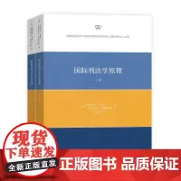 国际刑法学原理(全两册) [德]格哈德·韦勒 王世洲 译 商务印书馆