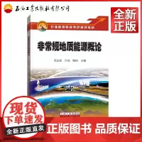 非常规地质能源概论(石油高等院校特色规划教材)