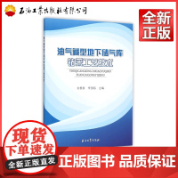 油气藏型地下储气库钻采工艺技术 金根泰