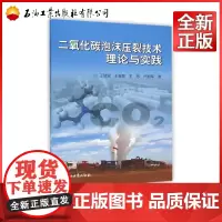 二氧化碳泡沫压裂技术理论与实践 9787518309955