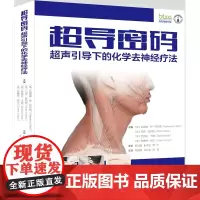 超导密码:超声引导下的化学去神经疗法