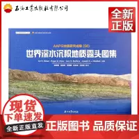 世界深水沉积地质露头图集(AAPG地质研究成果56)(精)