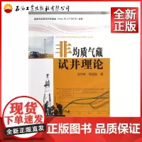 非均质气藏试井理论 张烈辉、郭晶晶 石油工业出版社 9787502193379