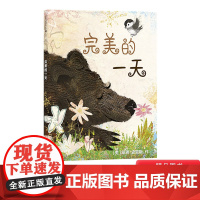 完美的一天硬壳精装绘本图画书适合1岁2岁3岁4岁以上幼儿园图书麦克米伦正版书籍童书