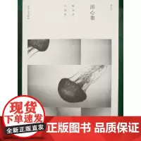 游心集-陈众议自选集
