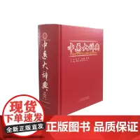 中医大辞典 山西科学技术出版社正版医学图书 医学考试工具用书