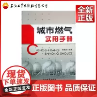 城市燃气实用手册