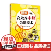 图说高效养中蜂关键技术 自由组合套装 机械工业出版社 正版书籍