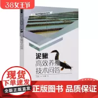 [店]泥鳅*效养殖技术问答 泥鳅养殖书籍 泥鳅池塘养殖网箱养殖微水流养殖稻田养殖书