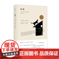 正版 斜面 图书书籍 小说 阿尔丰索雷耶斯;赵德明 作品集 现当代文学书籍图书图书籍 漓江出版社