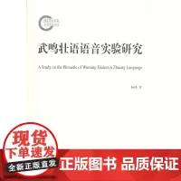 武鸣壮语语音实验研究 杨锋 商务印书馆