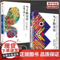 [套装2册]当下的力量+当下的力量实践手册(白金版)正版 埃克哈特 托利著 成功励志书籍排行榜中信出版社
