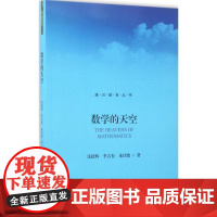 数学的天空 张跃辉,李吉有,朱佳俊 著 大学教材大中专 正版图书籍 北京大学出版社