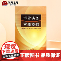 审计实务实战模拟 柳絮 著作 著 统计 审计经管、励志 正版图书籍 人民出版社