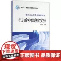 电力企业信息化实务/王乐鹏/十三五普通高等教育规划教材 王乐鹏 主编 著作 大学教材大中专 正版图书籍 中国电力出版社