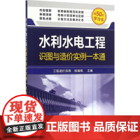 水利水电工程识图与造价实例一本通 张国栋 主编 著 建筑/水利(新)专业科技 正版图书籍 化学工业出版社