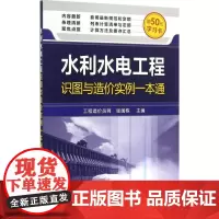 水利水电工程识图与造价实例一本通 张国栋 主编 著 建筑/水利(新)专业科技 正版图书籍 化学工业出版社