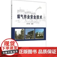 煤气作业安全技术 徐丙根 编著 著 石油 天然气工业专业科技 正版图书籍 中国石化出版社