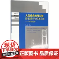 大跨度悬索桥抖振数值模拟与现场实测 王浩 著 交通/运输专业科技 正版图书籍 东南大学出版社