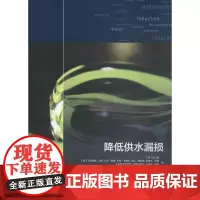 降低供水漏损 (美)吴正易 等 著 著 建筑艺术(新)专业科技 正版图书籍 中国建筑工业出版社