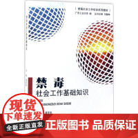 禁毒社会工作基础知识 潘泽泉 主编 著 法律实务社科 正版图书籍 中国社会出版社