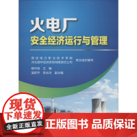 火电厂安全经济运行与管理 杨作梁 编 著作 建筑/水利(新)专业科技 正版图书籍 化学工业出版社