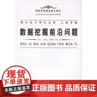 现代统计研究丛著:数据挖掘前沿问题 贺铿 主编 统计 审计经管、励志 正版图书籍 中国统计出版社