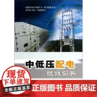 中低压配电技能实务 李天友,林秋金 著 建筑/水利(新)专业科技 正版图书籍 中国电力出版社
