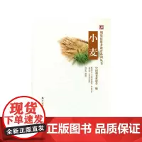 小麦 中国期货协会 著 著 金融经管、励志 正版图书籍 中国财政经济出版社