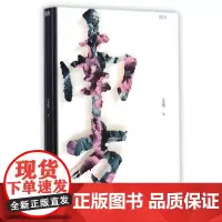 南方/艾伟 艾伟 著作 都市/情感小说文学 正版图书籍 人民文学出版社