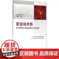 职业化关系:巴林特小组的理论与实践 (德)海德·奥登(Heide Otten) 著 著作 医学其它生活 正版图书籍