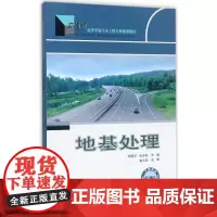 地基处理 杨晓华,张莎莎 主编 大学教材大中专 正版图书籍 人民交通出版社股份有限公司