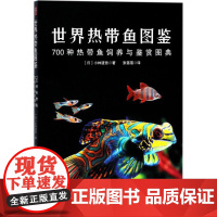 世界热带鱼图鉴 (日)小林道信 著;张蓓蓓 译 海洋生物生活 正版图书籍 中国民族摄影艺术出版社