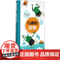 有趣的动物 (意)吉达·弗朗西亚 编著;(意)阿格内塞·巴鲁奇 绘;毕椿岚 译 科普百科少儿 正版图书籍 现代出版社