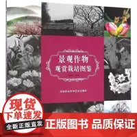 景观作物观赏栽培图鉴 潘建义 主著 建筑/水利(新)专业科技 正版图书籍 中国农业科学技术出版