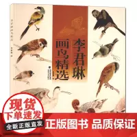 李君琳画鸟精选 中国画鸟类白描动态写生水墨画鸟册页作品欣赏 当代唯美工笔画花卉多样技法大全教材初学者入门基础教程正版书籍