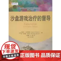 沙盘游戏治疗的督导